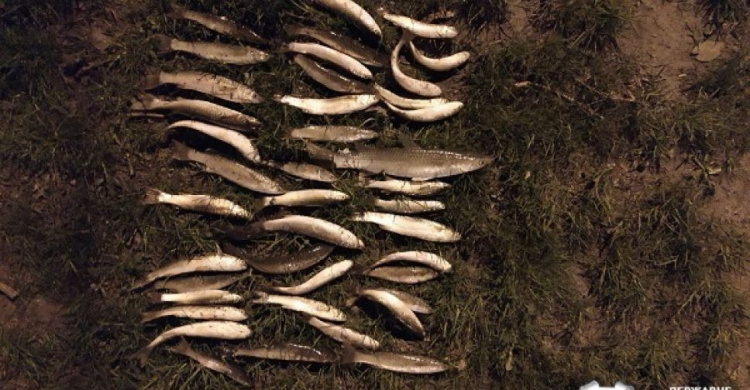 Мариупольский браконьер попался с уловом на 28 тысяч гривен (ФОТО)