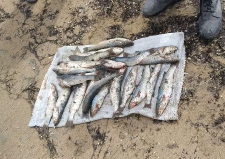 В поселке под Мариуполем браконьер наловил рыбы на 16 тысяч гривен (ФОТО)