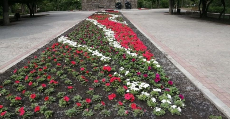 На обновленной аллее Мариуполя высадили 3,5 тысячи цветов (ФОТО)