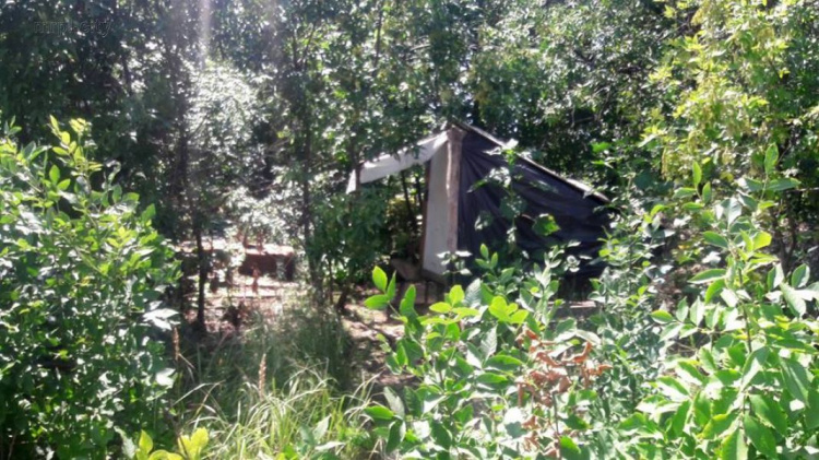 В зоне ООС на Донетчине в лесополосе нашли тонны спирта (ФОТО)
