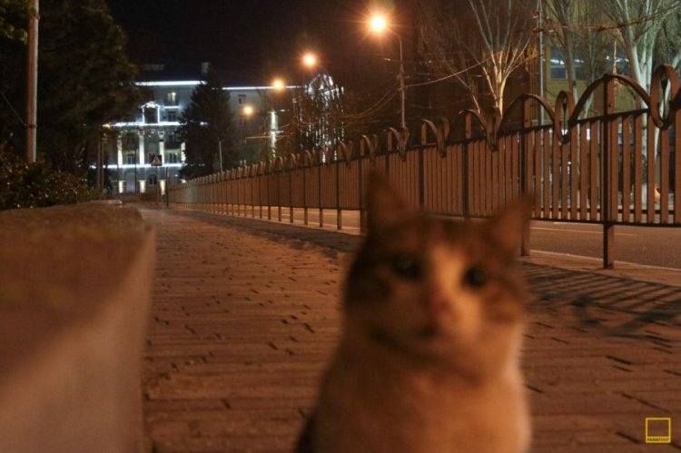 Глазами фотографа: как выглядел Мариуполь в Пасхальную ночь (ФОТО)