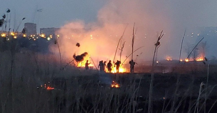 Дым и пламя: в Мариуполе горело поле (ФОТО+ВИДЕО)