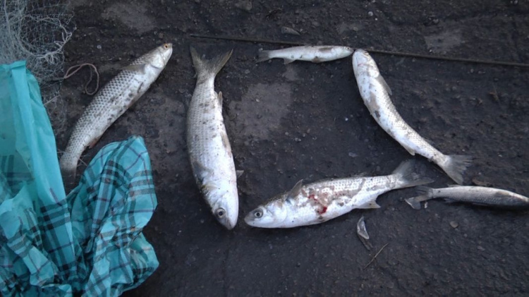 На мариупольском пост-мосту браконьеры продолжают ловить рыбу, несмотря на штрафы (ФОТО+ВИДЕО)
