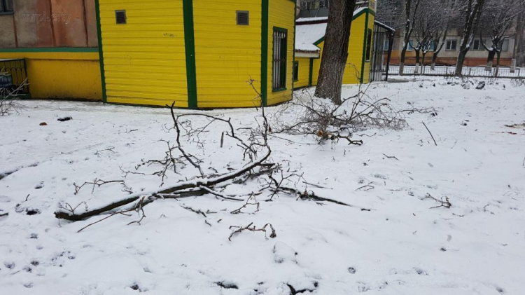 Повреждены дома, провода, кондиционеры  - в Мариуполе падают обледеневшие ветки  (ФОТО)