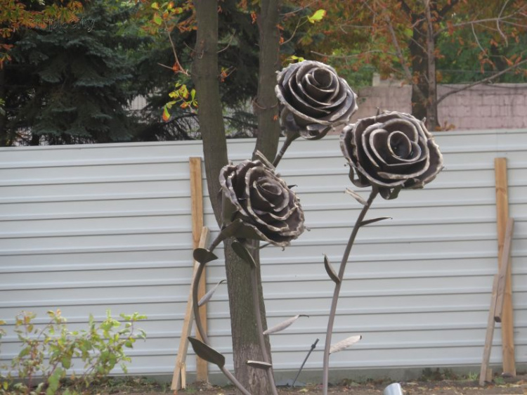 Габионы с «изумрудами», скамьи Мёбиуса и гигантские розы украсили Мариуполь (ФОТОФАКТ)
