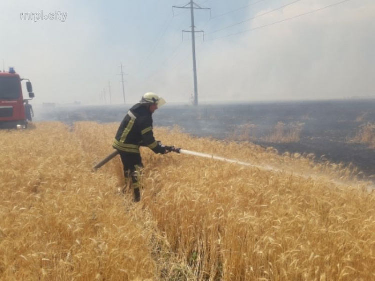 В Мариуполе масштабный пожар около торгового центра уничтожил тонны пшеницы (ФОТО)
