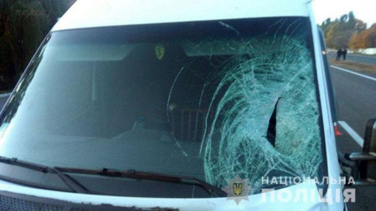 Под Мариуполем водитель микроавтобуса сбил 18-летнего парня (ФОТО)