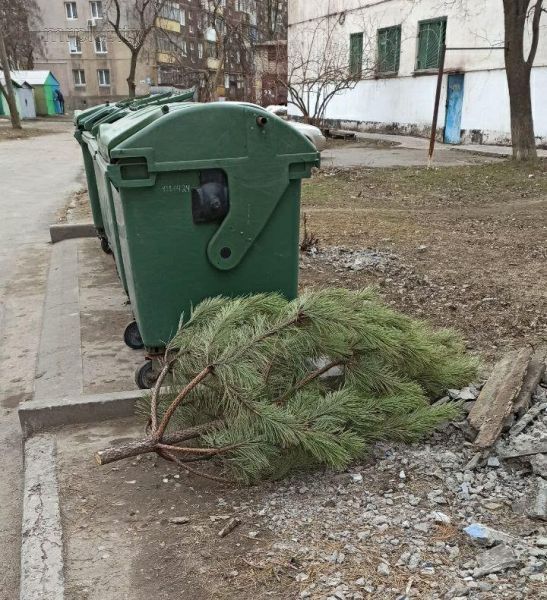 За окном весна: мариупольцы продолжают избавляться от новогодних елок (ФОТОФАКТ)