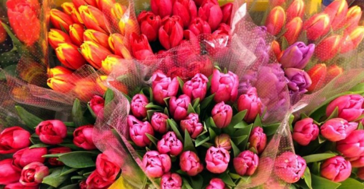 Букетный период: во сколько мариупольцам обойдутся цветы к 8 марта?