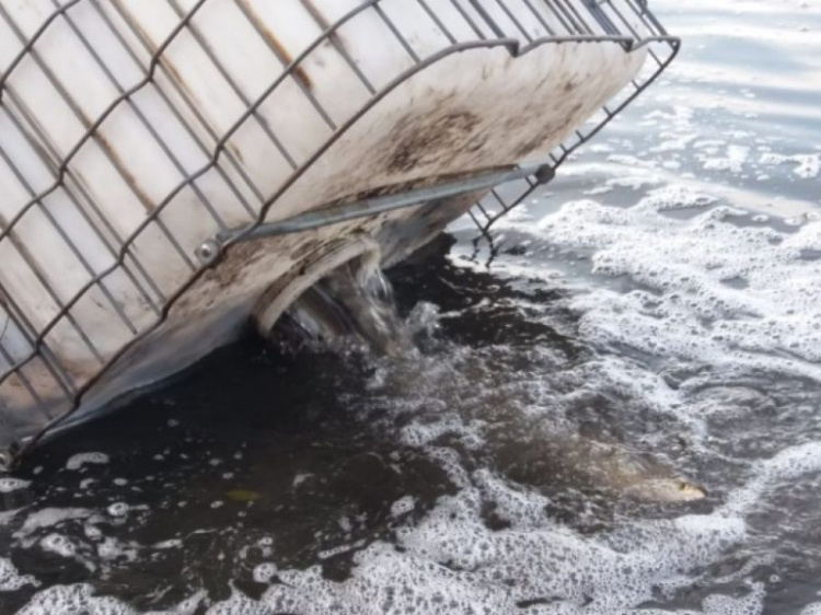 Водоемы вблизи Мариуполя пополнились почти на 50 тысяч рыб (ФОТО)