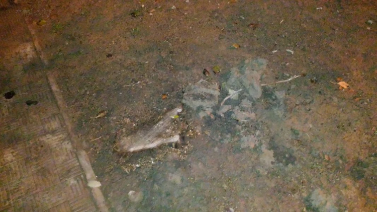 В сквере на «Восточном» в Мариуполе роют яму и пилят деревья (ФОТО)