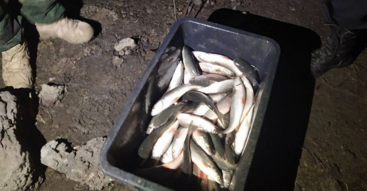 В Кальмиусе мариупольцы выловили рыбы почти на 300 тысяч гривен