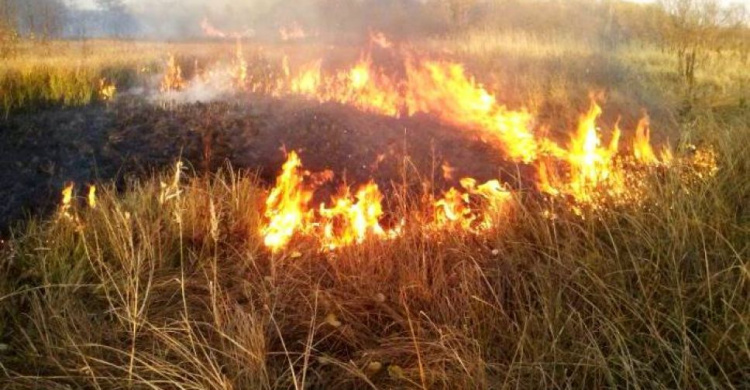 Штрафы за сжигание сухой травы увеличили в 18 раз. Сколько придется заплатить мариупольцам?