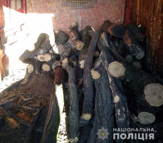 Спецназ в Мариуполе задержал «на горячем» группу «черных лесорубов» (ФОТО)
