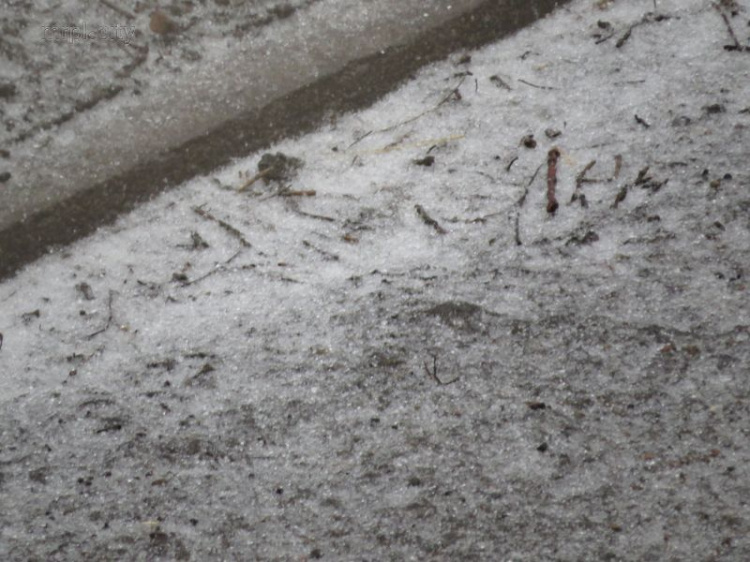 Ледяной дождь испытывает Мариуполь на выносливость (ФОТО)