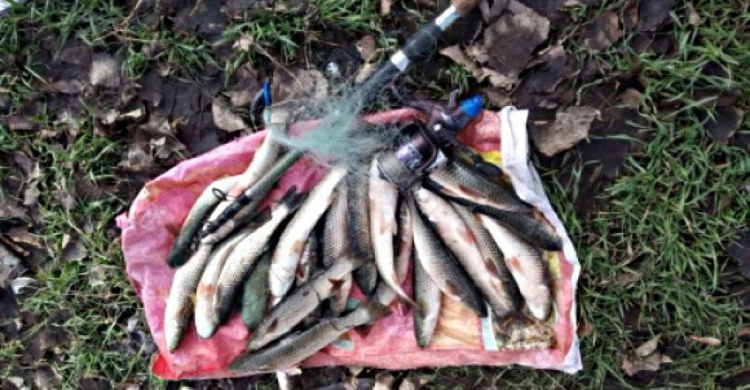 В Мариуполе браконьеры наловили рыбы почти на 29 тысяч гривен