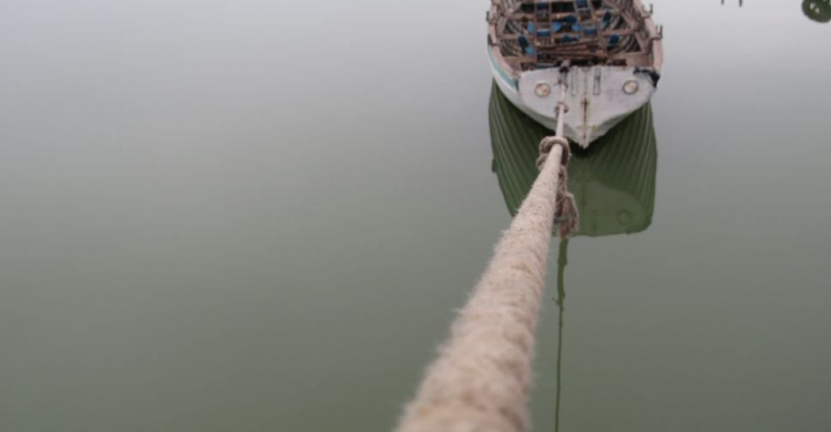  Исчез из лодки раненый баклан Карбоня, живший в море у Мариуполя (ФОТОФАКТ)
