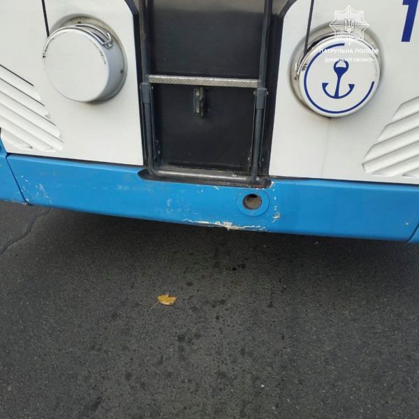 Ударили троллейбус, снесли забор и «качали права»: в Мариуполе поймали дерзких нарушителей