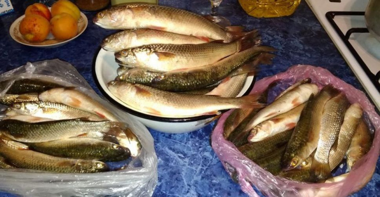 Рыбаки Мариуполя хвастаются уловом (ФОТО)