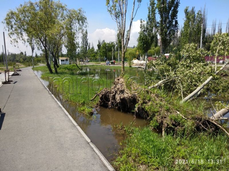 Левобережную набережную в Мариуполе затопило, повалены деревья