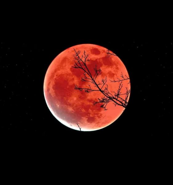 Самое долгое лунное затмение за 500 лет: как это было