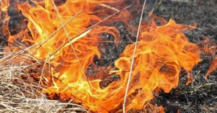 В Мариуполе за сутки выгорело около 78 тыс. кв. м территорий и электроподстанция (ФОТО)