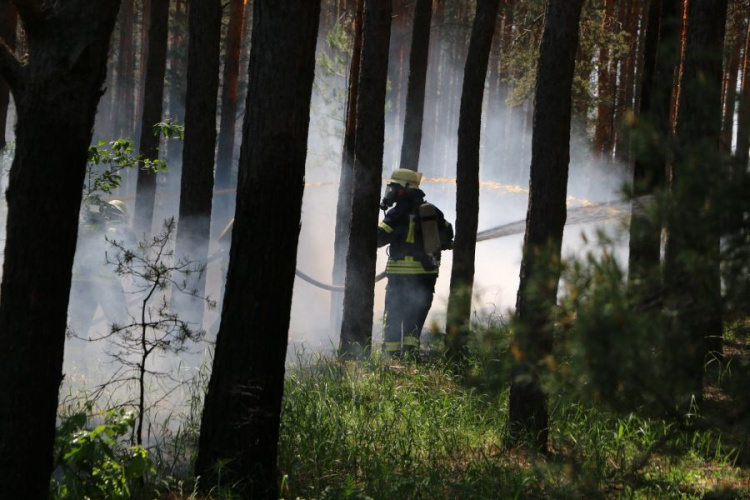 Пожар в лесу: спасатели Донетчины провели масштабные учения (ФОТО)