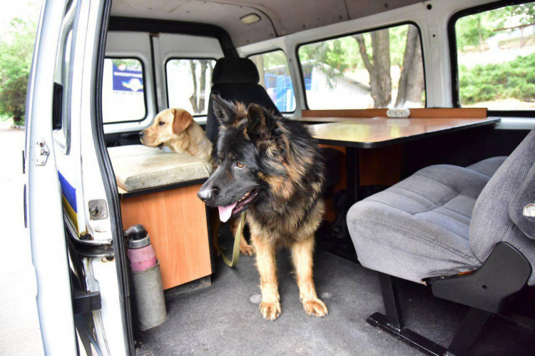 Собаки-полицейские в Мариуполе будут ездить на собственном автомобиле (ФОТО+ВИДЕО)