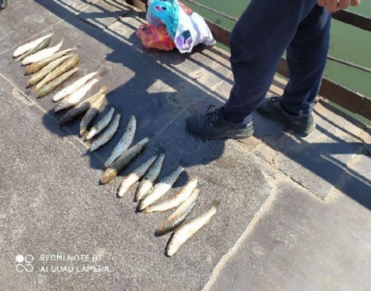 Мариупольский браконьер порыбачил в выходные на 14 тысяч гривен (ФОТО)