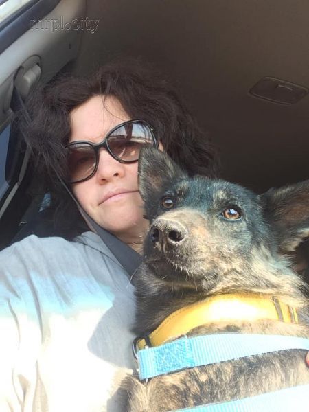 В Украину вернули собаку с буксира, захваченного Россией по пути следования в Мариуполь