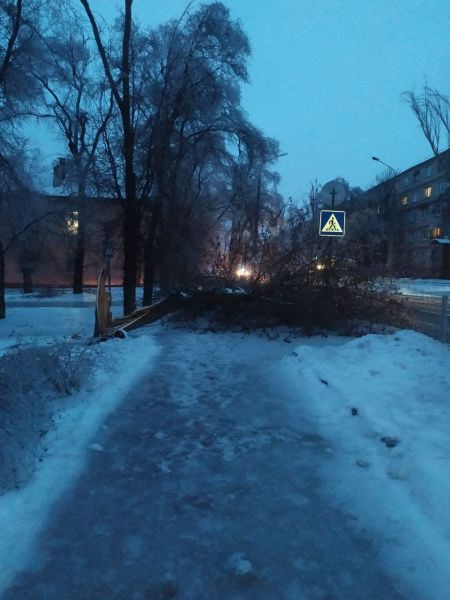 Пересечение пр. Строителей и вдоль ул. Кронштадской многочисленные упавшие деревья и ветки, на эл.проводах, дороге и тротуаре