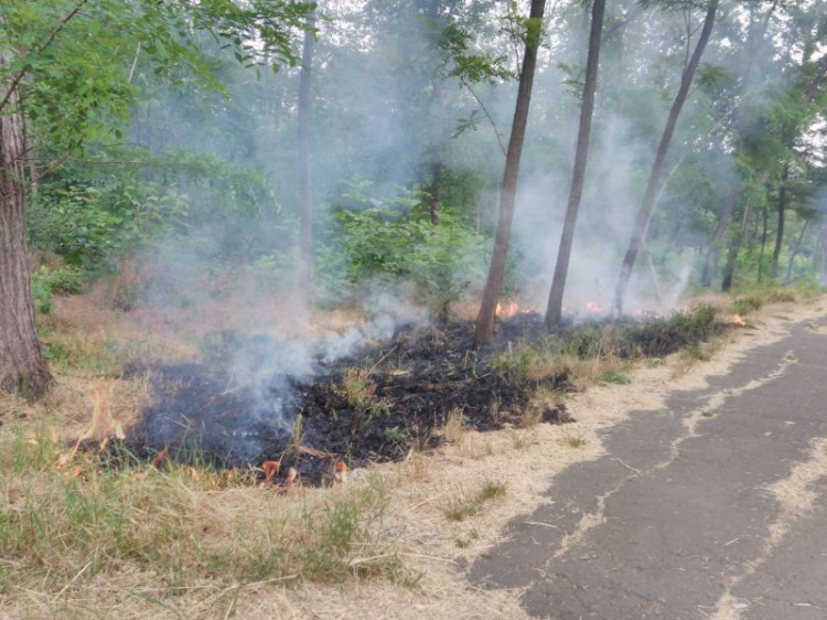 На территории парка в Мариуполе происходят возгорания сухой травы (ФОТО)