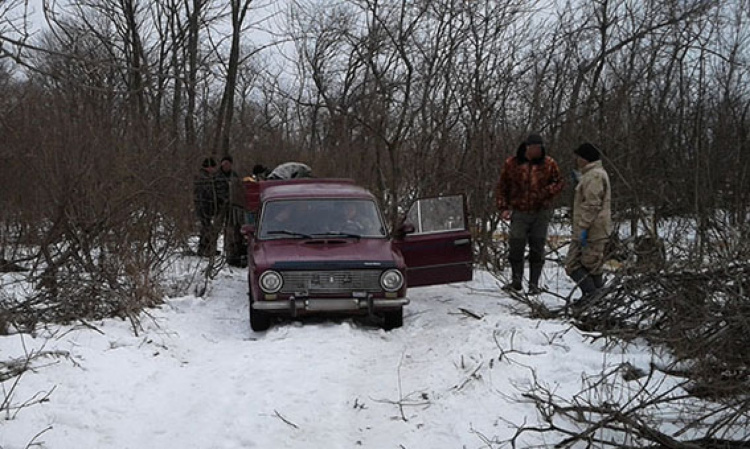 В Донецкой области на горячем задержали «черных лесорубов»