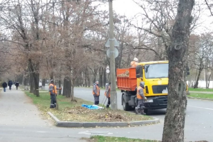 С улиц и парков Мариуполя убрали более 30 тонн листвы (ФОТО)