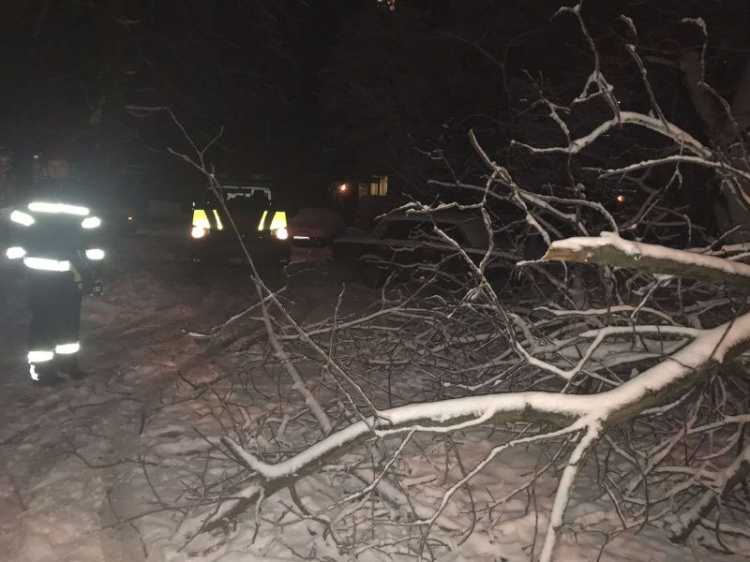 На Донетчине непогода повалила десятки деревьев и затопила постройки (ФОТО)
