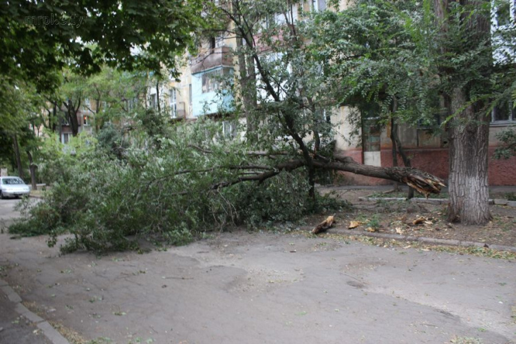 Шторм в Мариуполе «наломал дров» (ФОТОФАКТ)