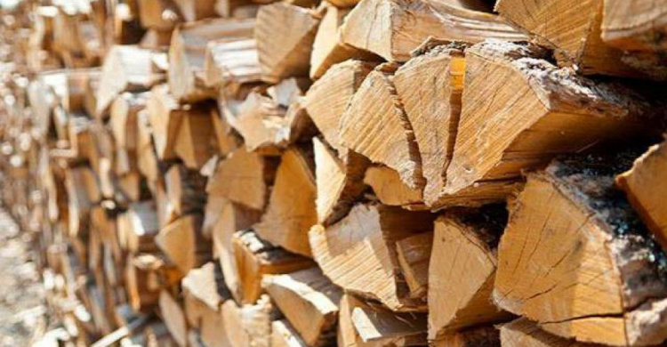 В лесхозе дров нет: жители Приазовья вынуждены платить за топливо дороже
