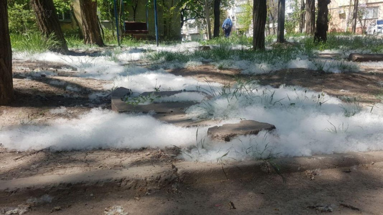 Мариуполь укрывают пушистые «сугробы» (ФОТО+ВИДЕО)
