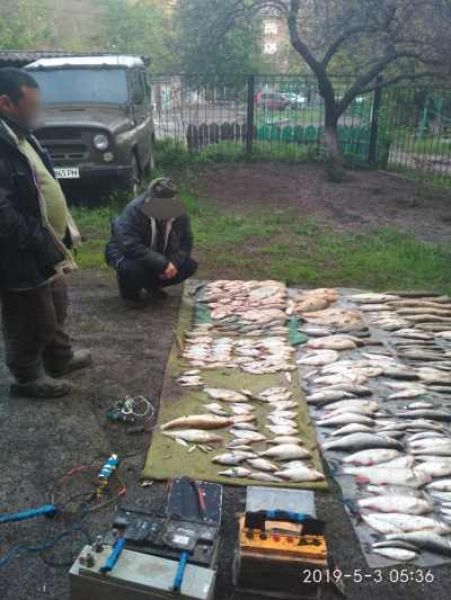 В Донецкой области задержаны браконьеры с электроудочками (ФОТО)