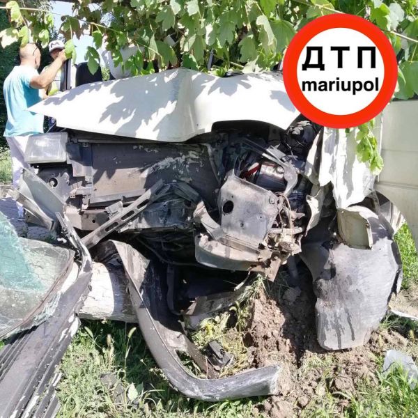В Мариуполе микроавтобус снес дерево - у пассажира сломано ребро