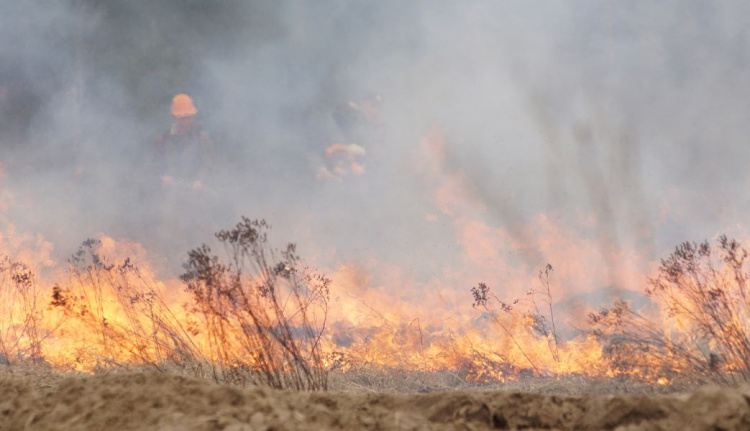 Не жги траву: жителей Донетчины предупреждают о пожарной опасности