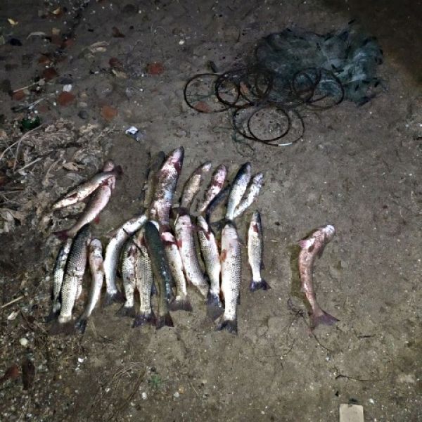 Рыбалка не удалась: на Левобережье Мариуполя поймали браконьера