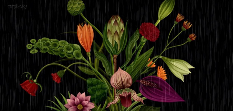 Художник-флорист создал красочный мультфильм «История цветов» (ФОТО+ВИДЕО)