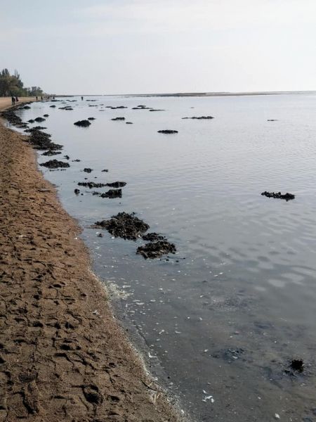 В Левобережном районе Мариуполя море вернулось в привычные берега