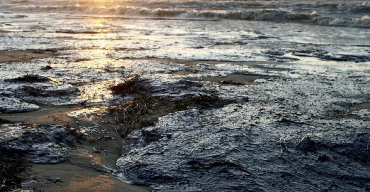 Судоремонтный завод не скрывал факт утечки нефтепродуктов в море