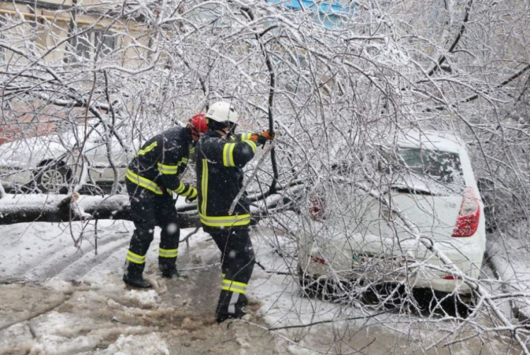 В Мариуполе аварийные деревья повредили три автомобиля и перекрыли дорогу (ФОТО+ВИДЕО)