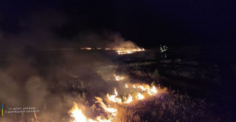 На Донетчине за сутки произошло 25 пожаров, 9 из них – возгорания в природных экосистемах