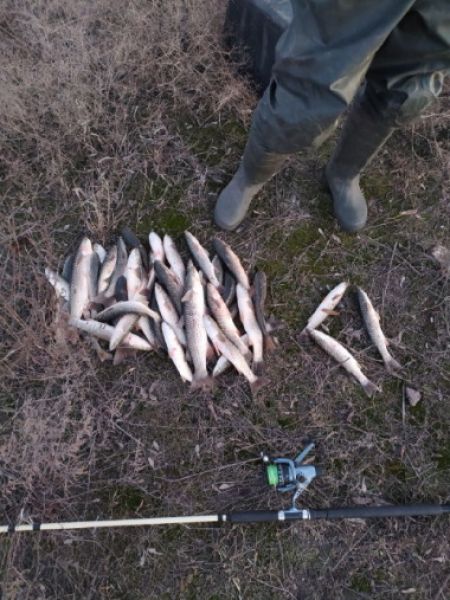 Мариупольский браконьер выловил рыбу почти на 28 тысяч гривен