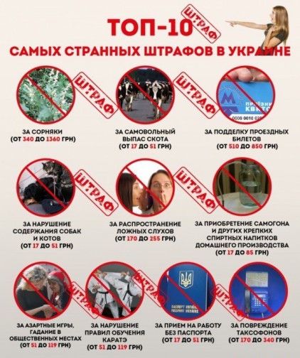 Топ-10 самых странных штрафов в Украине
