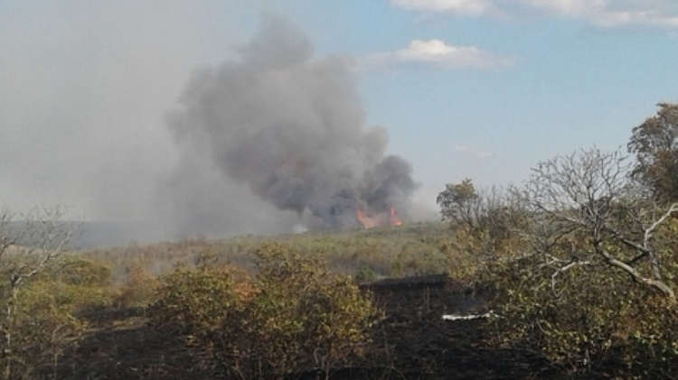 В Донецкой области ликвидирован масштабный пожар в степи и лесу